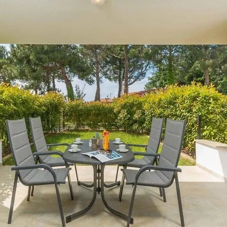 In Novigrad Mit Terrasse Und Garten Apartment