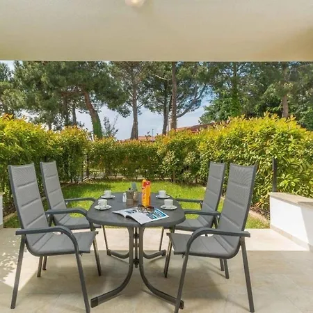 In Novigrad Mit Terrasse Und Garten Apartamento